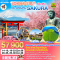 TOKYO FUJI Mt.OMURO SAKURA 6วัน 4คืน โดยสายการบิน THAI AIRWAYS (TG) (MAR25)
