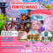 TOKYO NIKKO EDO WONDERLAND SAKURA 6วัน 4คืน โดยสายการบิน THAI AIRWAYS (TG) (MAR-APR25)
