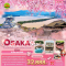 Unseen Sakura OSAKA โอซาก้า เกียวโต อิเนะ อามาโนะฮาชิดาเตะ 5 วัน 3 คืน โดยสายการบิน AIR ASIA X (XJ) (MAR25)