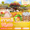 Wonder Korea Colorful Flower ชมดอกไม้บาน 5วัน 3คืน โดยสายการบิน AIR BUSAN (BX) (MAR-MAY25)