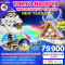 TOKYO NAGOYA WINTER LIGHT UP NEW YEAR 6วัน 4คืน โดยสายการบิน THAI AIRWAYS (TG) (NEWYEAR25)