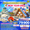 SHIRAKAWAGO OSAKA NEW YEAR 2025 6วัน 4คืน โดยสายการบิน THAI AIRWAYS (TG) (NEWYEAR25)