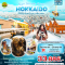 Super Romantic Winter HOKKAIDO ซัปโปโร โทยะ โอตารุ ฮาโกดาเตะ 6 วัน 4 คืน โดยสายการบิน AIR ASIA X (XJ) (DEC-MAR25)