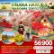 OBARA HAKUBA TAKAYAMA TOKYO AUTUMN 7 วัน 4 คืน (TG) (NOV25)