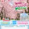 ทัวร์ญี่ปุ่น : BEAUTIFUL SAKURA IN SPRING 6 DAYS 3 NIGHTS [JL]