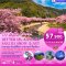 ทัวร์ญี่ปุ่น:BETTER IZU KAWAZU SAKURA SNOW &ART 6D3N