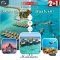ทัวร์มัลดีฟส์: Maafushi + Centara Ras fushi Maldives 4 Days  3 Nights