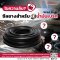 ไขความลับ ซีลยางสำหรับน้ำมันเบรก (Brake Seals)