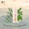 Aroma Pillow Spray: Allergic (Eucalyptus and Bergamot)