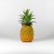 Small Pineapple Model