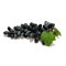 Grapes Model