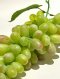 Grapes Model