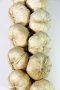 Garlic (Pair)
