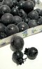 Blueberry/ 50 pcs.