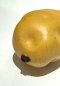 A Potato Model