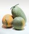 Melon Model