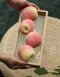 Peach Fruit Model (each)