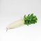 Radish (White)