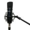 Franken SM-1 Studio Condenser Microphone