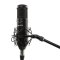 Franken SM-3 Studio Condenser Microphone