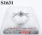 แหวนเพชรแท้ธรรมชาติ (Natural Diamonds) 0.45 Ct.