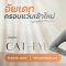 ร้านแว่นตา Jackal เชียงใหม่ อัพเดทกรอบแว่นตาแฟชั่น cateye 13/8/69 