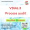 VDA6.3 Process audit