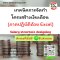 เทคนิคการจัดทำโครงสร้างเงินเดือน  (ภาคปฏิบัติด้วย Excel) (Salary structure designing)