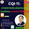 CQI-11: การตรวจประเมินกระบวนการพิเศษ ระบบงาน Plating (Plating System Assessment 3rd Edit.)