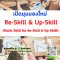 หลักสูตร เปิดมุมมองใหม่ Re-Skill & Up-Skill (Multi Skill for Re-Skill & Up-Skill)