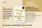Pre-order Things That Matter สิ่งที่สำคัญ / Joshua Becker / นที สาครยุทธเดช / BOOKDANCE