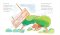 ร้านเบเกอรีคุณเพียงพอน / ยาสุโกะ ฟุนะซะกิ / ณัทภศกูร นิติสุข / Amarin Kids