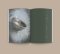 หนังสือแห่งชา The Book of Tea / โอคาคุระ คาคุโซ / นัยนา นาควัชระ / openbooks