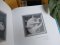 (ปกแข็ง) Millions of CATS and ONE CAT แมวล้านตัว กับแมวหนึ่งตัว / Niam Mawornkanong / Joyman Studio