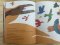 (ปกแข็ง) ช้าๆ หน่อยมิเคเล / เอเลนา เลวี / นันธวรรณ์ ชาญประเสริฐ / Bird Books