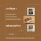 แม่คนสุดท้าย Accabadora / Michela Murgia / นันธวรรณ์ ชาญประเสริฐ / อ่านอิตาลี