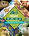 (ปกแข็ง) สัตว์แปลก แหวกกฏ / Ben Hoare / Asia Orlando / กฤติกา ชินพันธ์ / นานมีบุ๊คส์