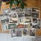 Postcard Cat Photo Set 12 ลาย โปสการ์ดรูปแมว จัดเซต