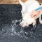 ยางปูพื้นสำหรับสัตว์เลี้ยง Pet Rubber Mat