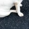 ยางปูพื้นสำหรับสัตว์เลี้ยง Pet Rubber Mat