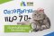 ตรวจสุขภาพแมว 7 ปี+ เรื่องสำคัญที่พ่อแม่แมวไม่ควรมองข้าม