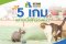 5 เกมคลายเบื่อให้น้องแมว Indoor ที่ช่วยให้สุขภาพดีและแฮปปี้กว่าเดิม