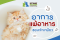 อาการแพ้อาหารของแมว: รู้ทันสัญญาณเตือน เพื่อดูแลสุขภาพน้องเหมียวอย่างถูกต้อง
