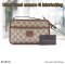 Gucci CAMERA BAG GG BROWN