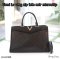 Louis Vuitton VERY ZIP TOTE NOIR MICROCHIP