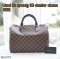 Louis Vuitton SPEEDY 30 DAMIER EBENE 2011