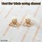 Dior TRIBALES EARRINGS GOLD