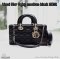 Dior D JOY MEDIUM 2022