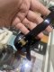 Celine OVAL SUNGLASSES BLACK