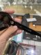 Celine OVAL SUNGLASSES BLACK